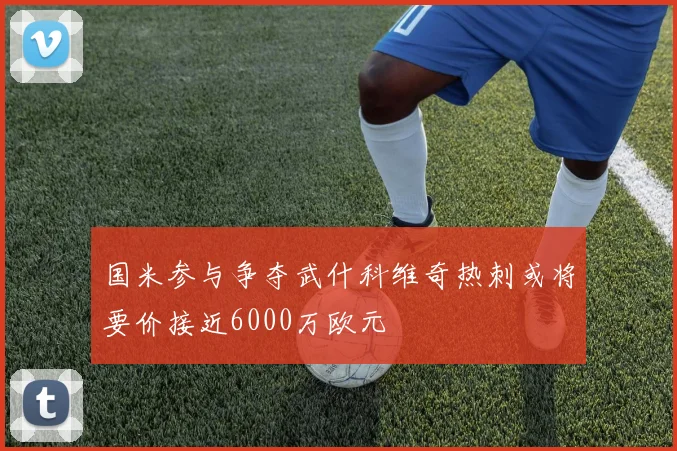 国米参与争夺武什科维奇热刺或将要价接近6000万欧元