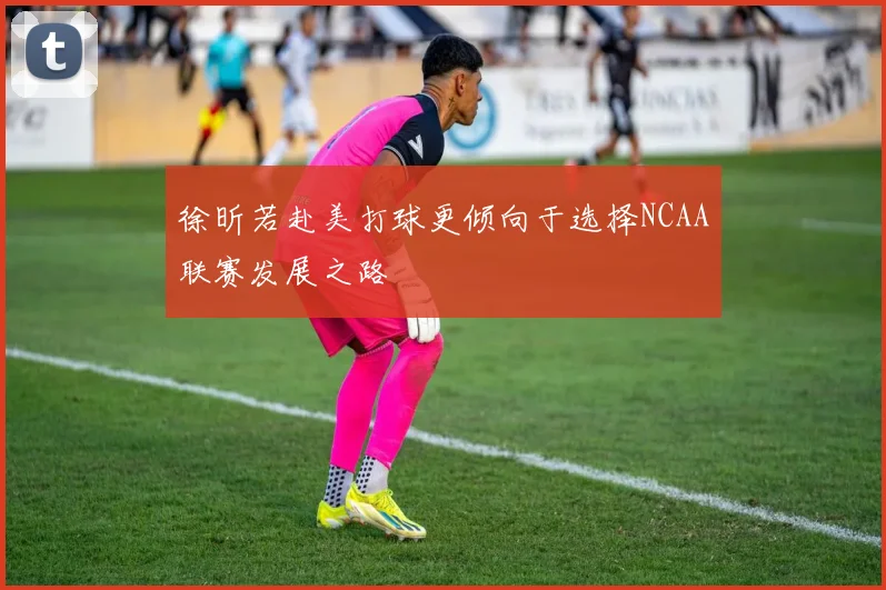 徐昕若赴美打球更倾向于选择NCAA联赛发展之路