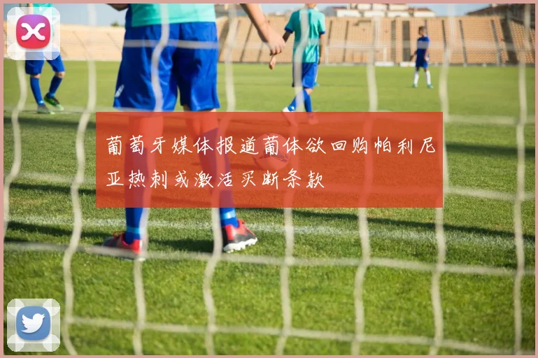 葡萄牙媒体报道葡体欲回购帕利尼亚热刺或激活买断条款